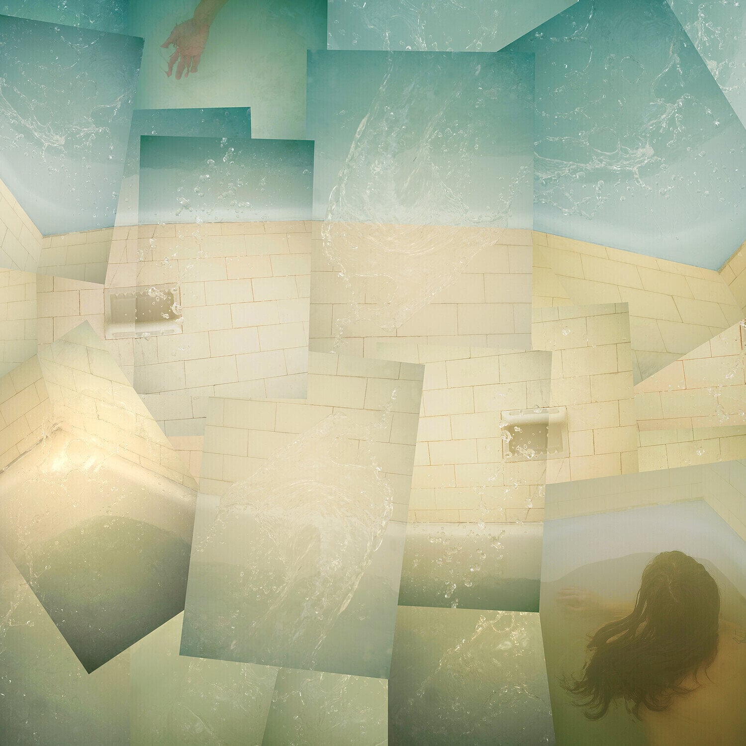 Vinyl Record Nina Ryser - Water Giants (LP)