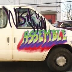 LP ploča Assemble - Wish You Well (LP)