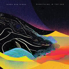 Disc de vinil Tears Run Rings - Everything In The End (2 LP)