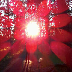 Disco de vinil Russian Circles - Empros (Reissue) (Limited Edition) (LP)