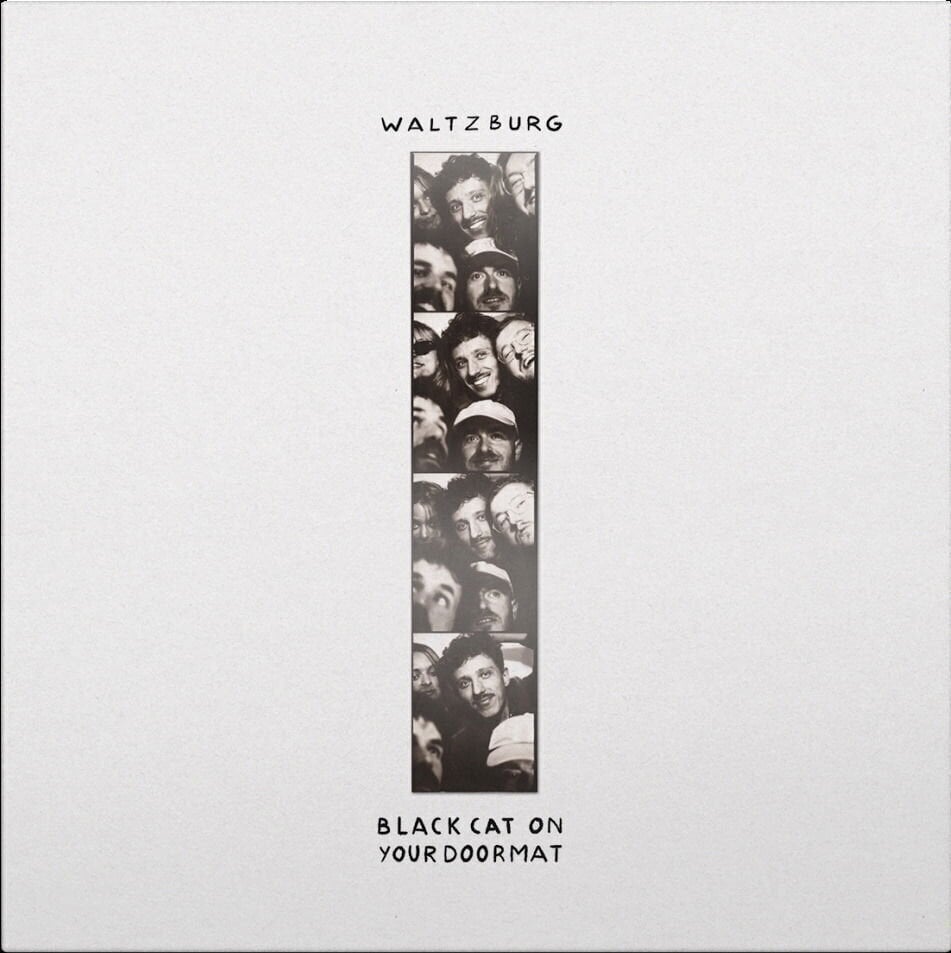 Disco de vinil Waltzburg - Black Cat On Your Doormat (LP)