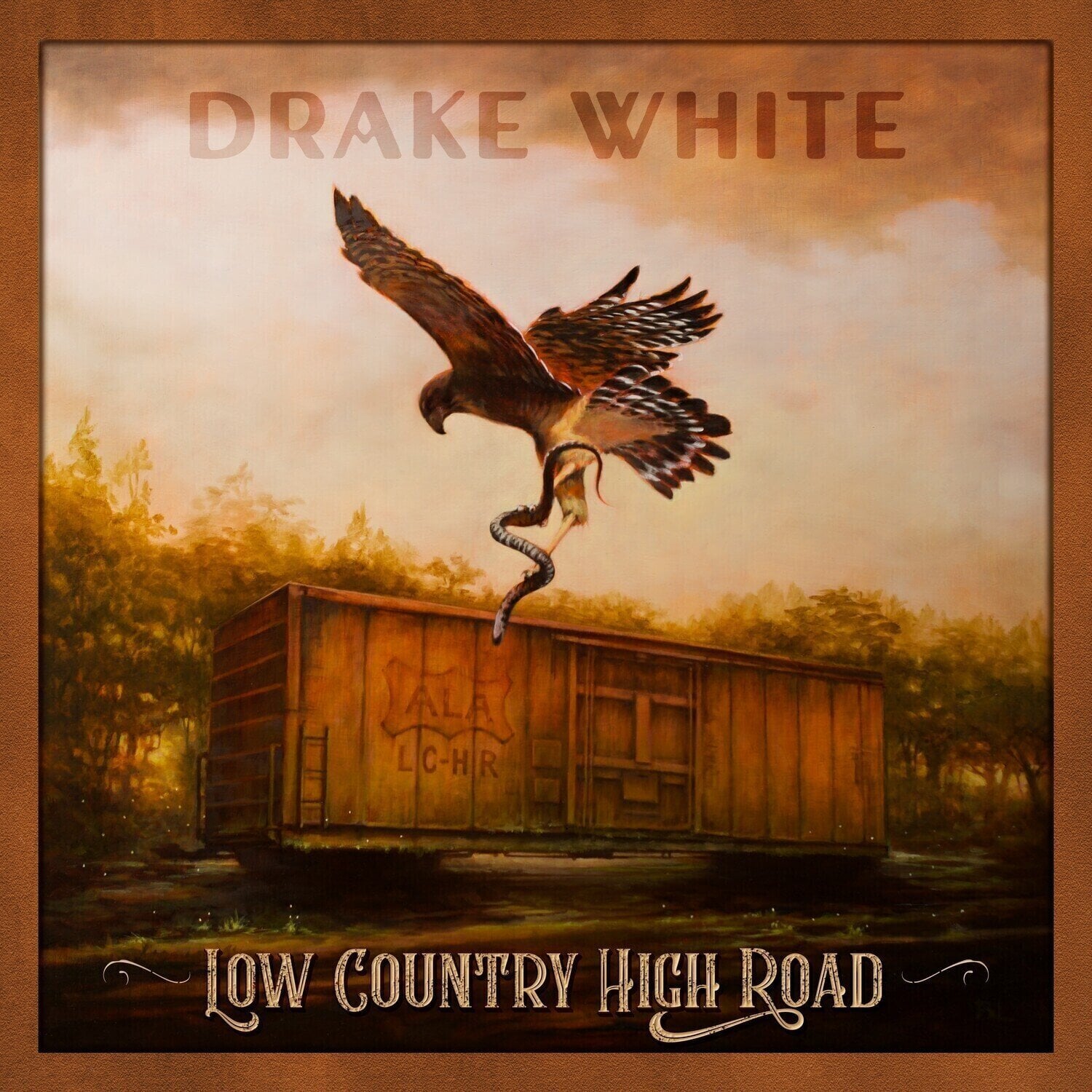 Disco de vinilo Drake White - Low Country High Road (LP)