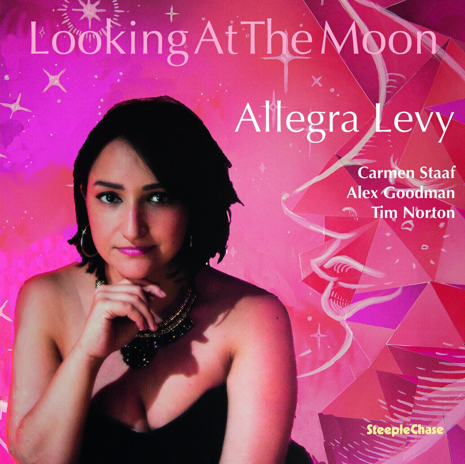 Vinilinė plokštelė Allegra Levy - Looking At The Moon (LP)