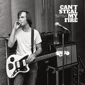 Disco in vinile Various Artists - Can’t Steal My Fire - The Songs Of David Olney (2 LP) - 1