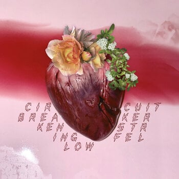 Vinylplate Ken Stringfellow - Circuit Breaker (Limited Edition) (LP) - 1