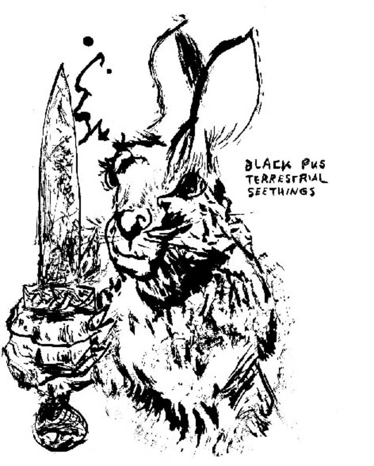 LP plošča Black Pus - Terrestrial Seethings (Limited Edition) (Silver Bullet Coloured) (LP)