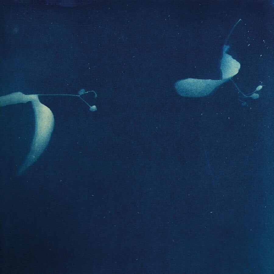 LP ploča Miki Yui - As If (LP)