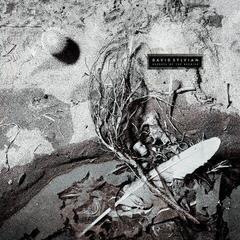 LP ploča David Sylvian - Secrets Of The Beehive (Reissue) (Coloured) (LP)