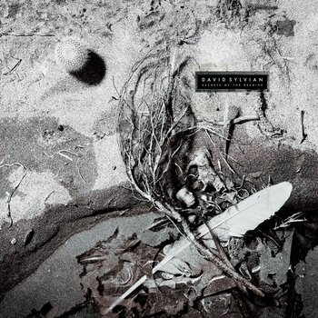 LP ploča David Sylvian - Secrets Of The Beehive (Reissue) (Coloured) (LP) - 1