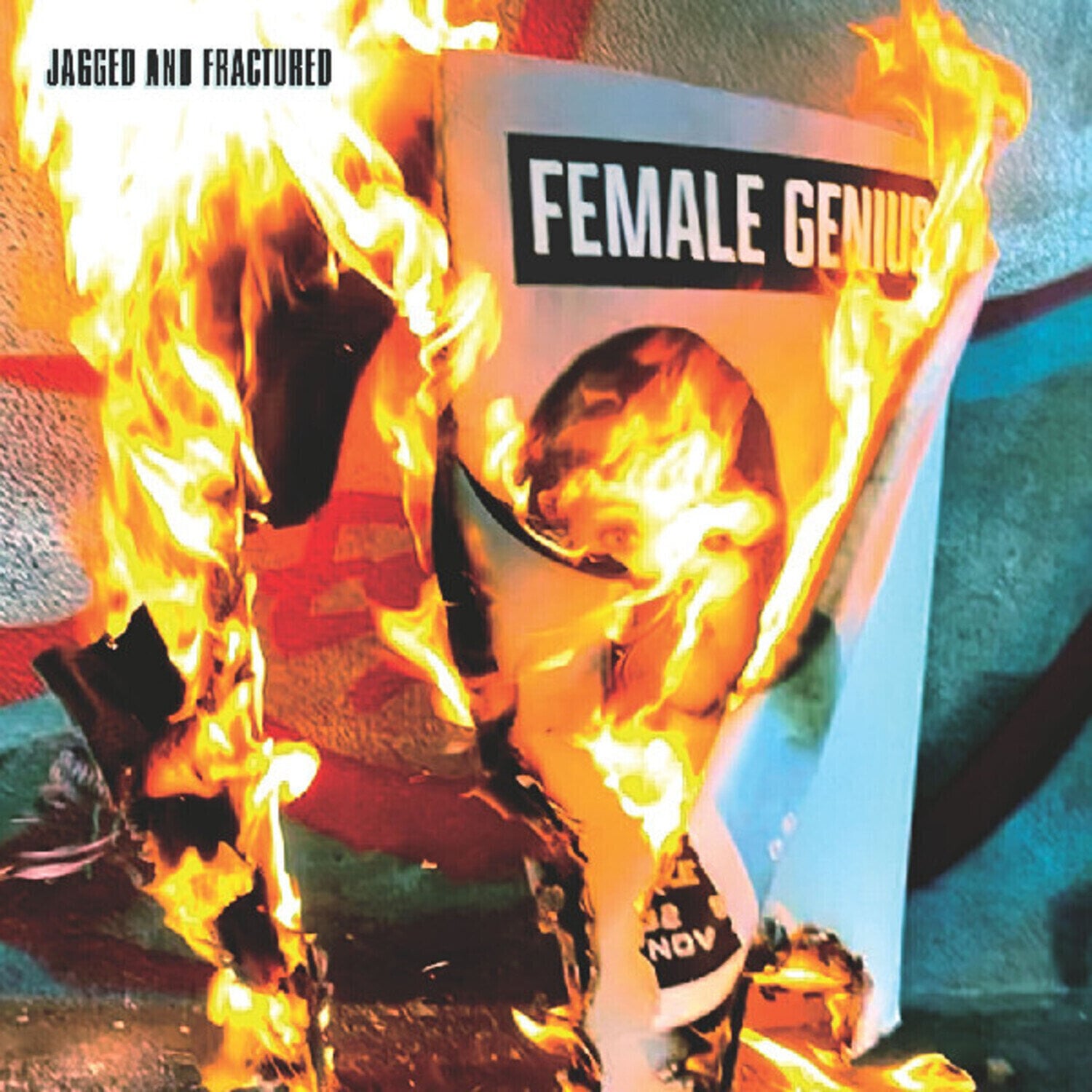 Vinylplate Female Genius - Jagged And Fractured (LP)
