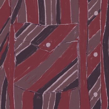 Disc de vinil Jake Xerxes Fussell - Rebuilding (LP) - 1