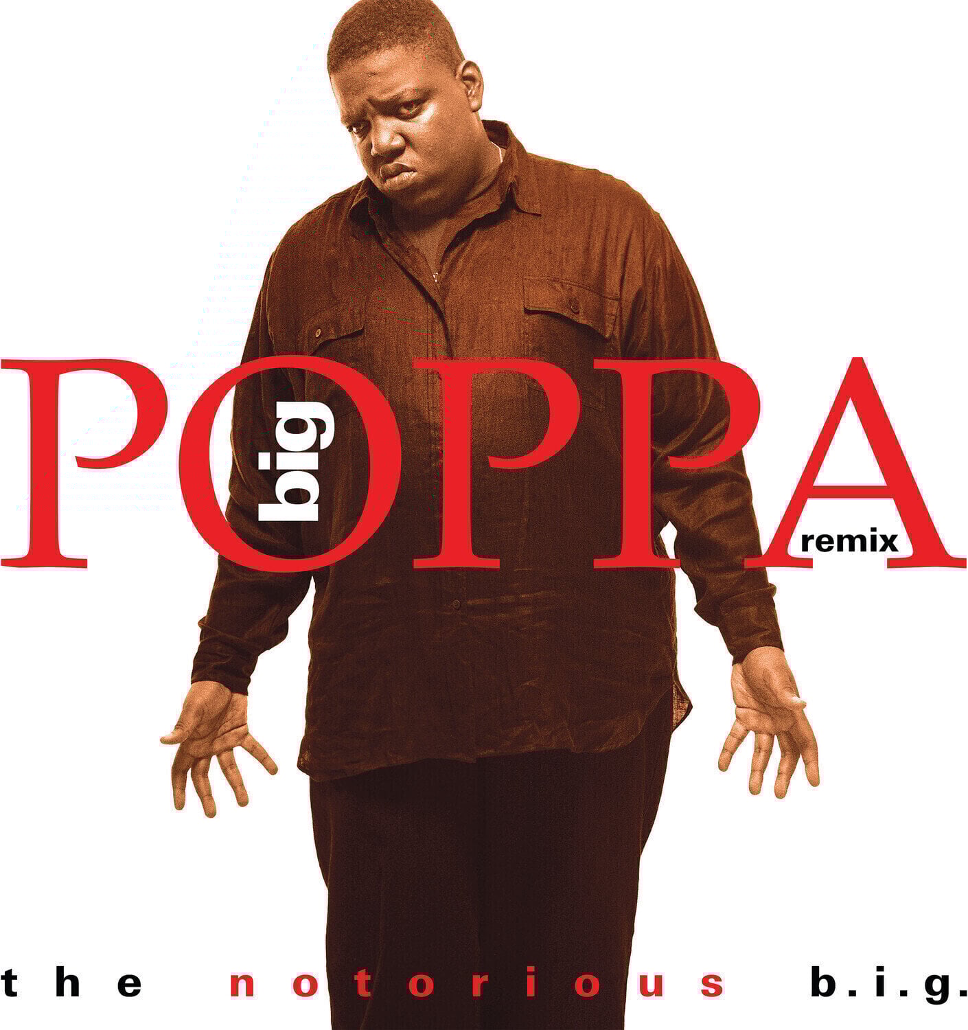 Schallplatte Notorious Big - Big Poppa (Remix) (LP)