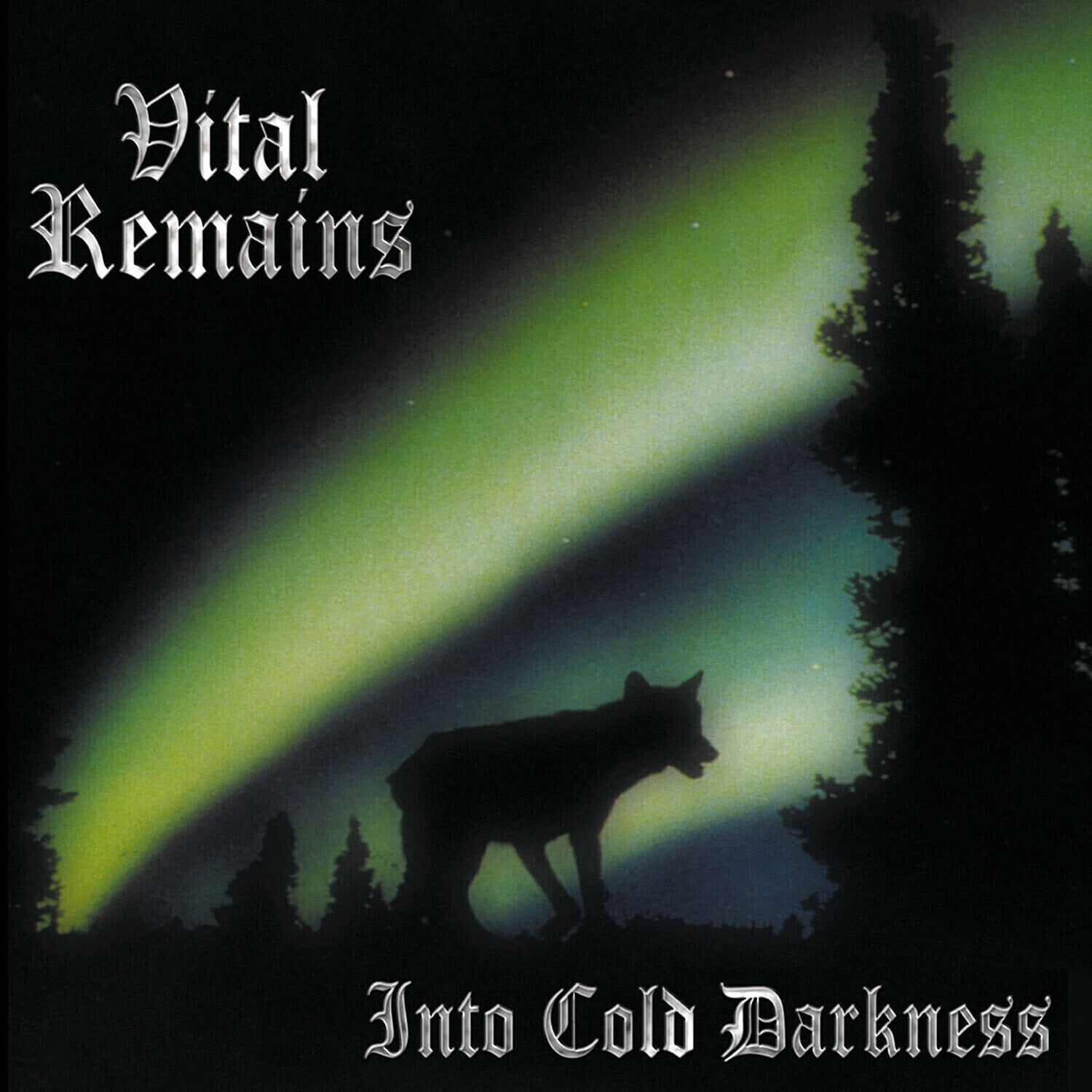 Vinylplate Vital Remains - Into Cold Darkness (30th Anniversary) (Limited Green Coloured) (LP)
