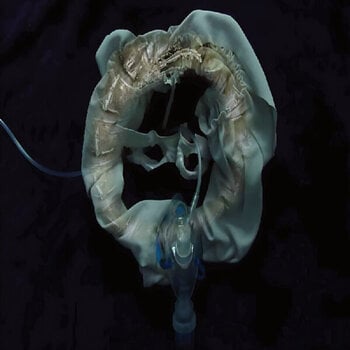 Vinylplate Ship Sket - InitiatriX (LP) - 1