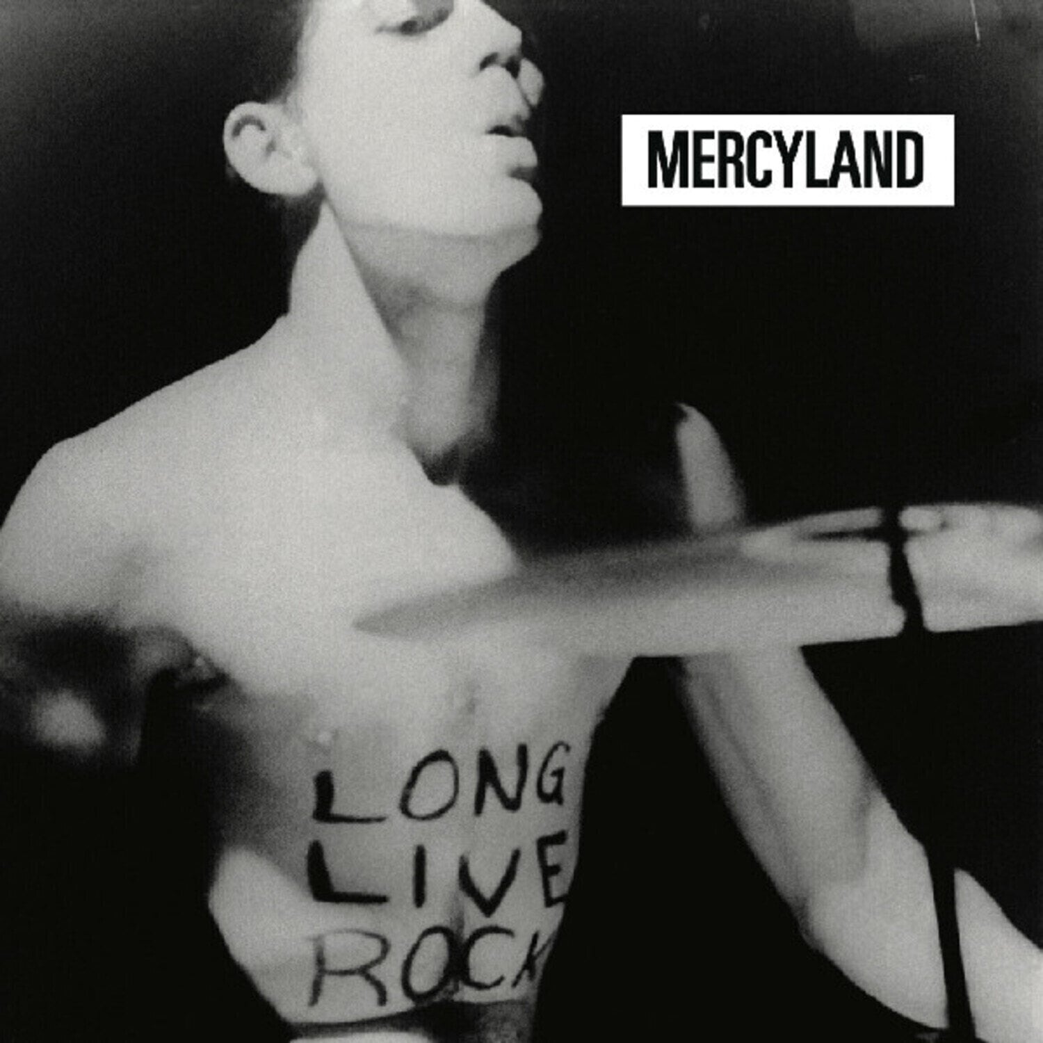 Disc de vinil Mercyland - Mercyland (Limited Edition) (LP)