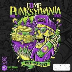 Disc de vinil Various Artists - Camp Punksylvania Vol.4 Live (LP)