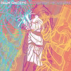 Vinylplate Palm Ghosts - Content Providers (LP)