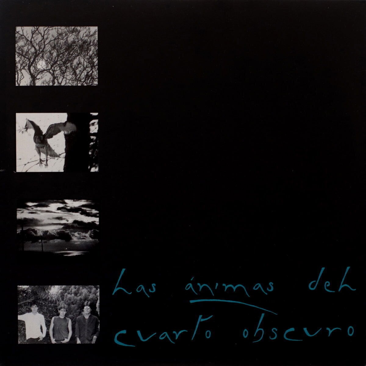 Disque vinyle Las Animas - Las Ánimas Del Cuarto Obscuro (LP)
