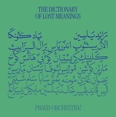 Disque vinyle Praed Orchestra! - The Dictionary Of Lost Meanings (2 LP)