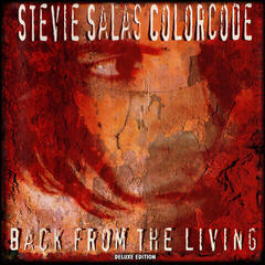 Disco de vinil Stevie Salas Colorcode - Back From The Living (Deluxe Edition) (LP)