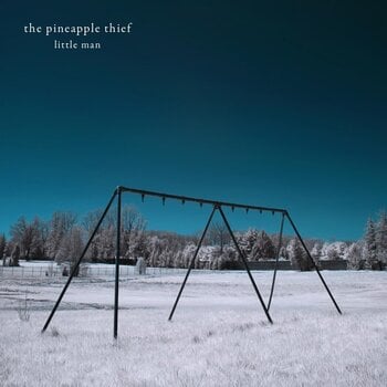 Vinyl Record The Pineapple Thief - Little Man (Remastered) (LP) - 1