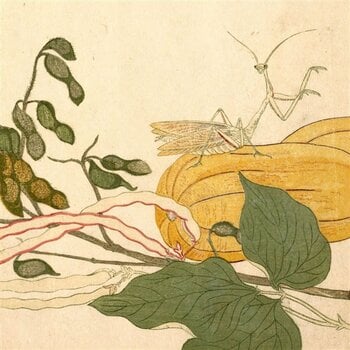 LP ploča Chypho - Entomongaku (2 LP) - 1