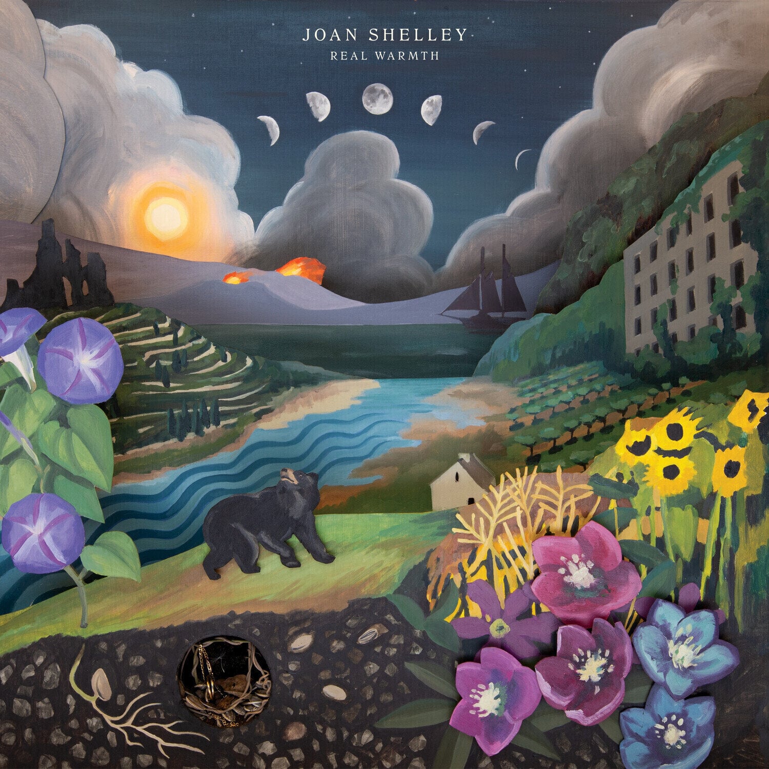 Vinyl Record Joan Shelley - Real Warmth (LP)