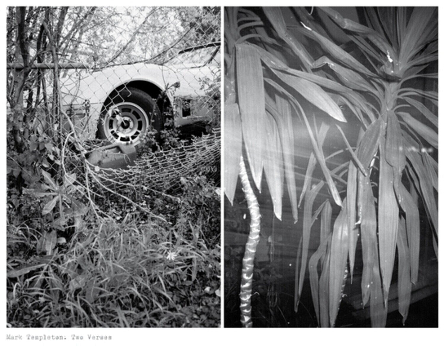 Vinyl Record Mark Templeton - Two Verses (Limited Edition) (LP)