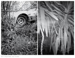 Vinyl Record Mark Templeton - Two Verses (Limited Edition) (LP)