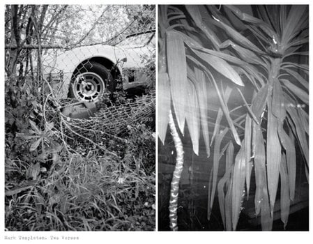 Vinyl Record Mark Templeton - Two Verses (Limited Edition) (LP) - 1