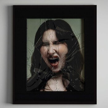 Vinyl Record Jane Inc - A Rupture A Canyon A Birth (LP) - 1