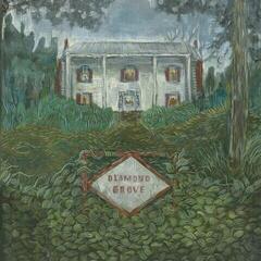 Disco de vinil Weirs - Diamond Grove (LP)