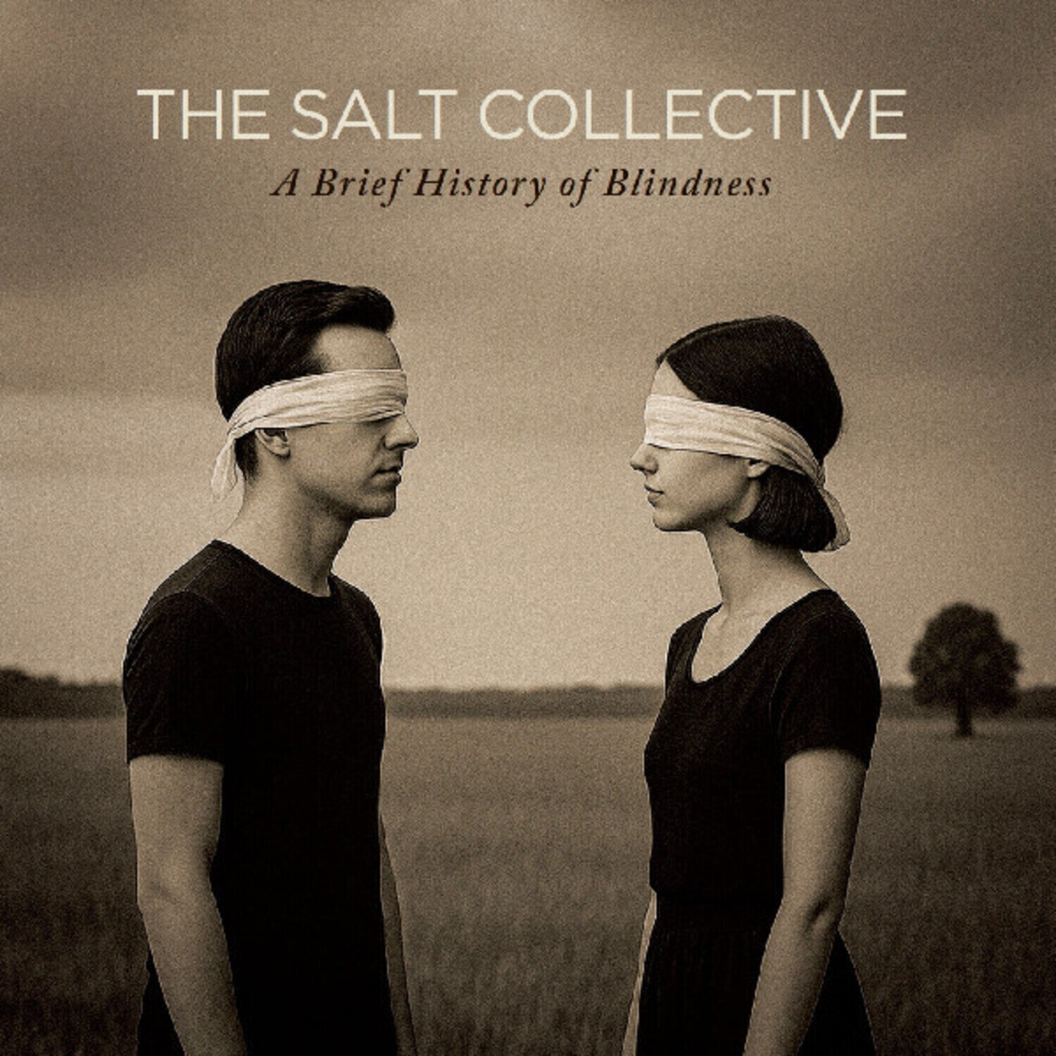 Vinylplate The Salt Collective - A Brief History of Blindness (Limited Edition) (Coloured) (LP)