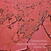 Δίσκος LP Richard Norris - Music For Healing - Colours Volume Two (LP)