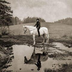 LP deska Michael Moravek - November (Limited Edition) (180 g) (LP)