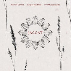 Vinyl Record Markus Conrad - Jaggat (LP)