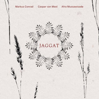 Vinyl Record Markus Conrad - Jaggat (LP) - 1