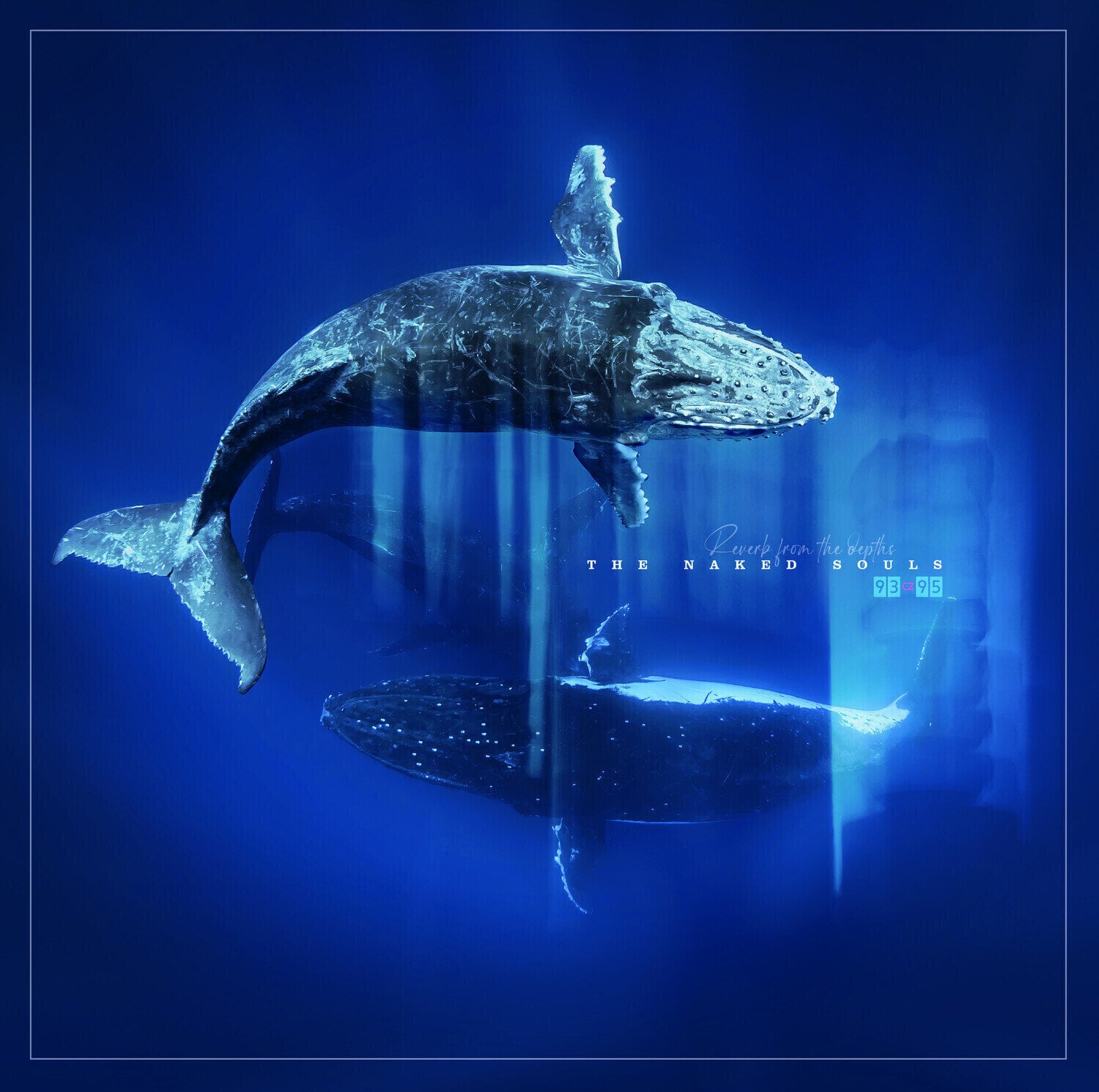 Disco de vinil The Naked Souls - Reverb From The Depths (2 LP)