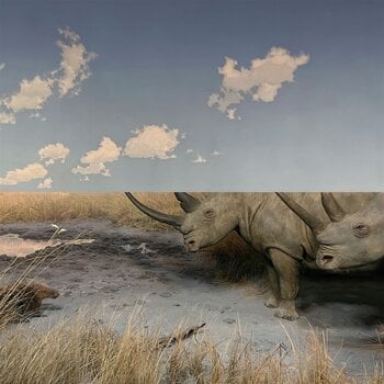 LP plošča Carpet - Collision (Limited Edition) (LP) - 1