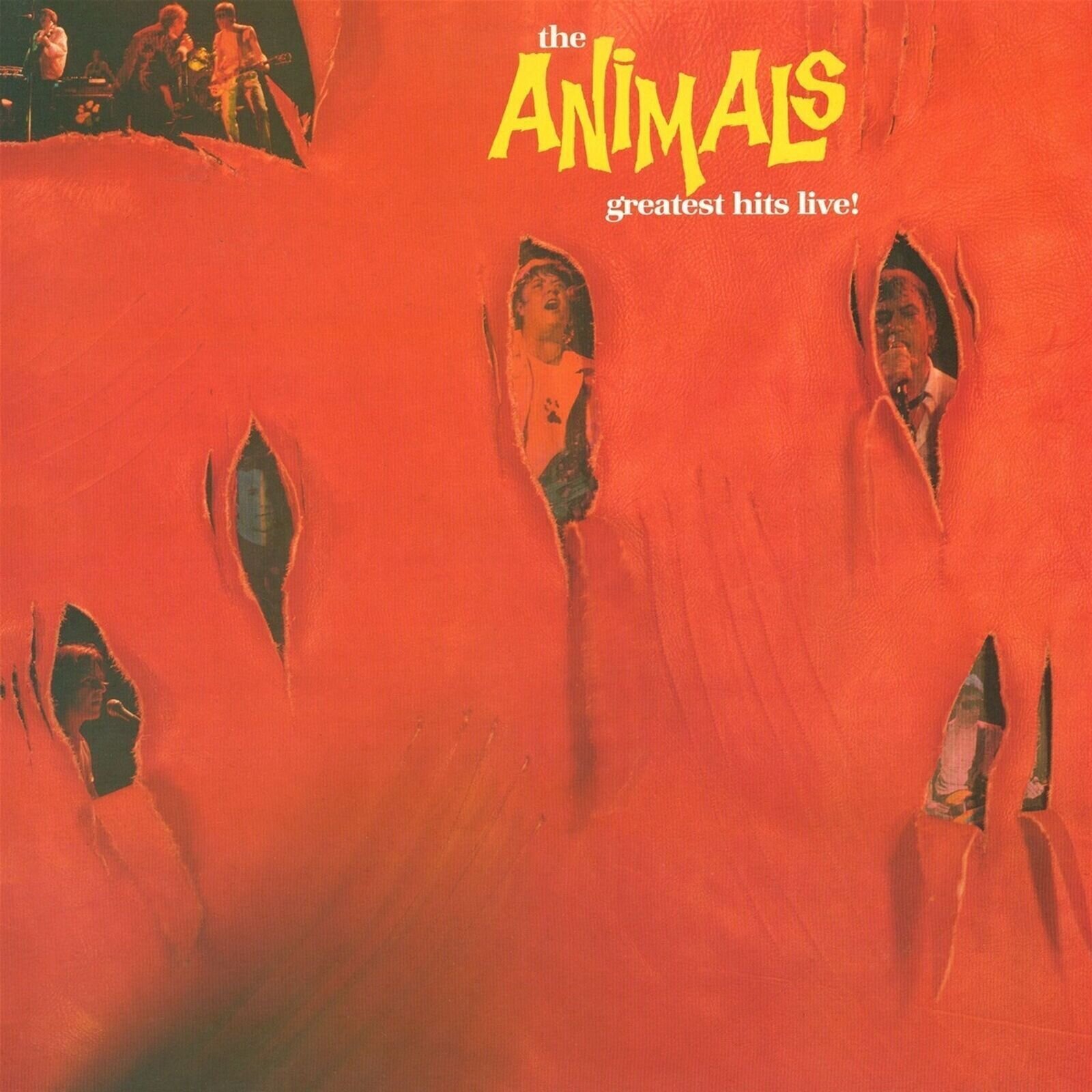 Vinüülplaat The Animals - Greatest Hits Live! (Blue Coloured) (LP)