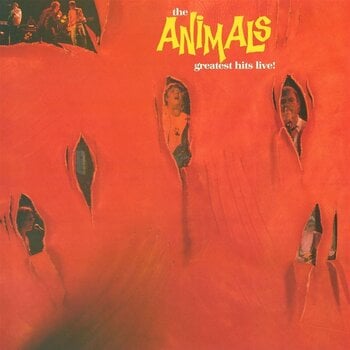 Vinüülplaat The Animals - Greatest Hits Live! (Blue Coloured) (LP) - 1