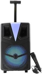 Prenosivi zvučnik Denver TSP-307 Prenosivi zvučnik