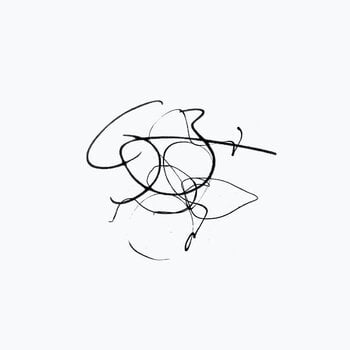 LP ploča Samuel Reinhard - Movement (Limited Edition) (2 LP) - 1