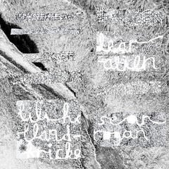 Vinylplate Lili Holland-Fricke & Sean Rogan - Dear Alien (Limited Edition) (LP)