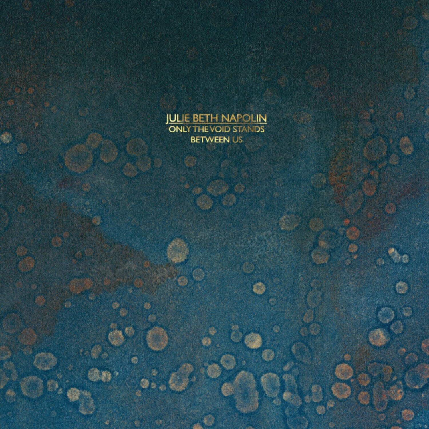 Disque vinyle Julie Napolin - Only The Void Stands Between Us (LP)