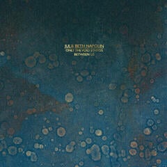 Disc de vinil Julie Napolin - Only The Void Stands Between Us (LP)