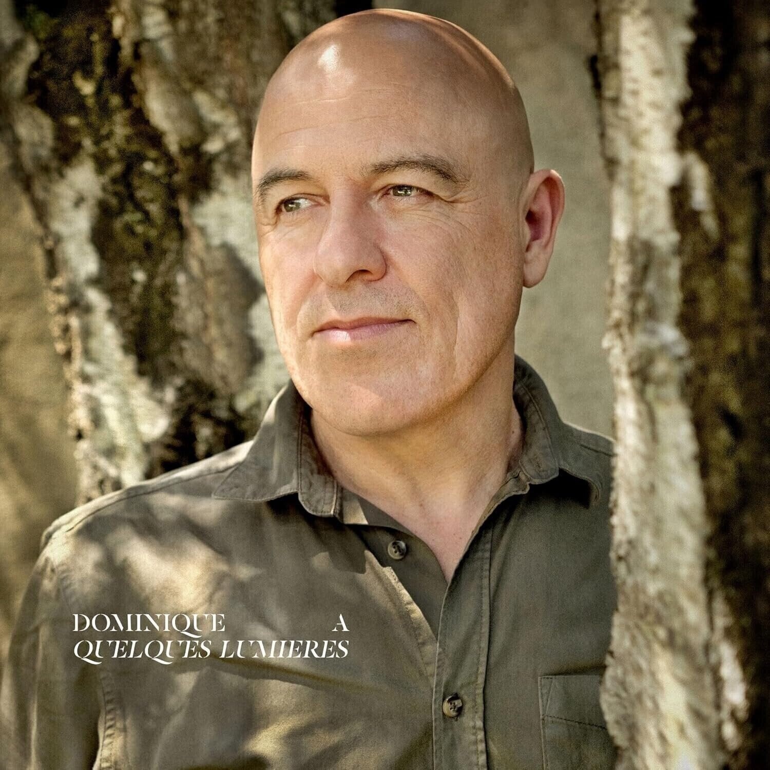 Vinyl Record Dominique A. - Quelques Lumières (3 LP)