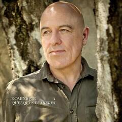 Vinylplate Dominique A. - Quelques Lumières (3 LP)