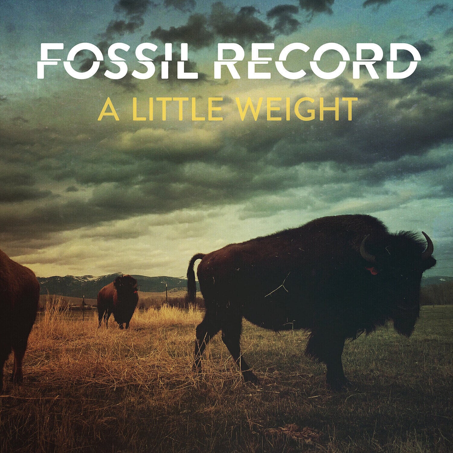 LP ploča Fossil Record - A Little Weight (LP)