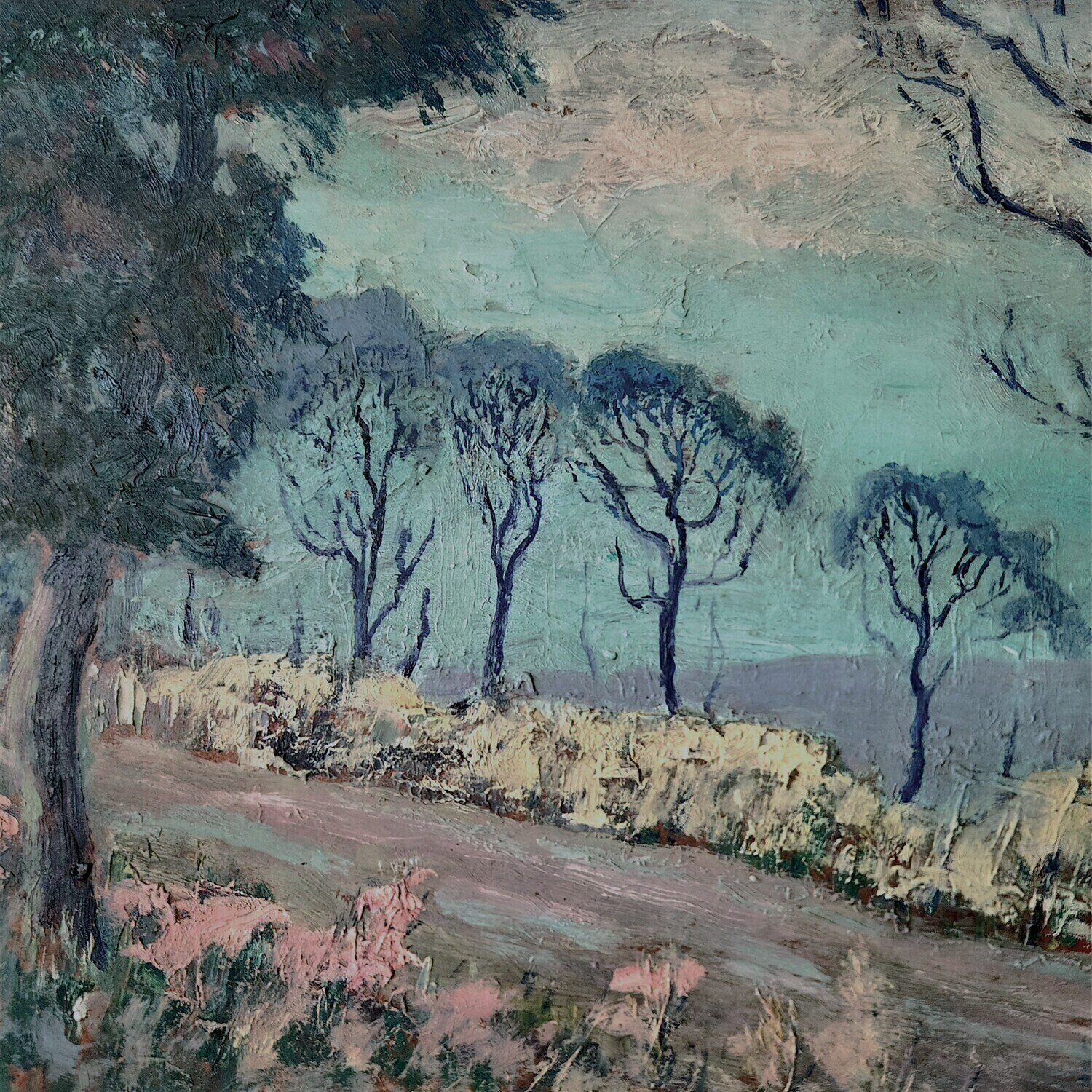 Vinylplade Advance Base - Horrible Occurences (LP)